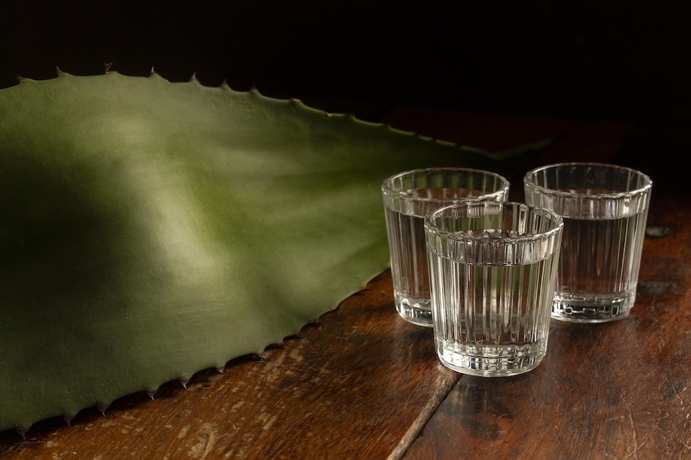 ¿Cómo saber si un tequila es adulterado?